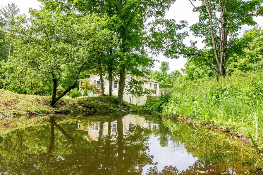 Pond_toward house.jpg