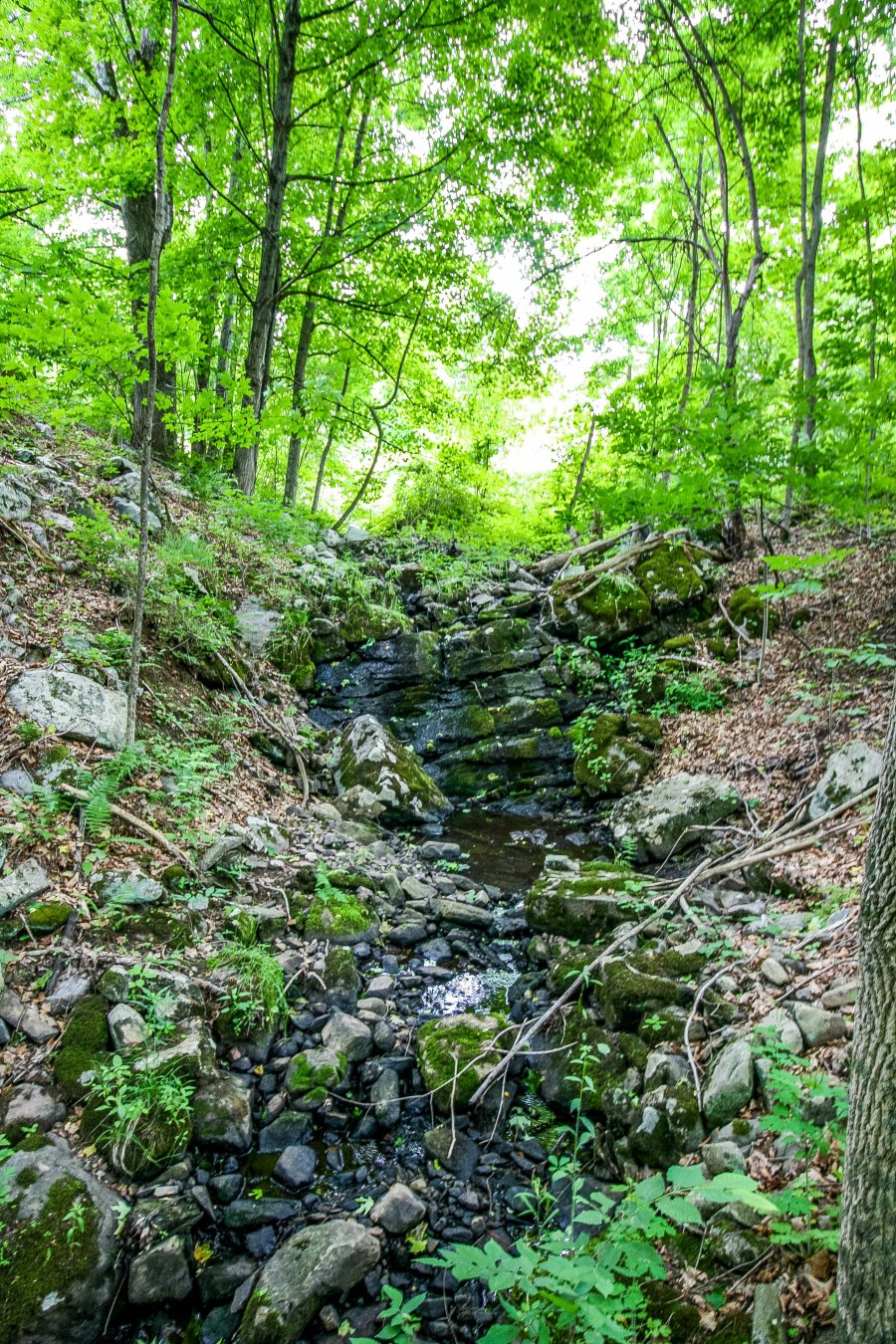 property waterfall.jpg